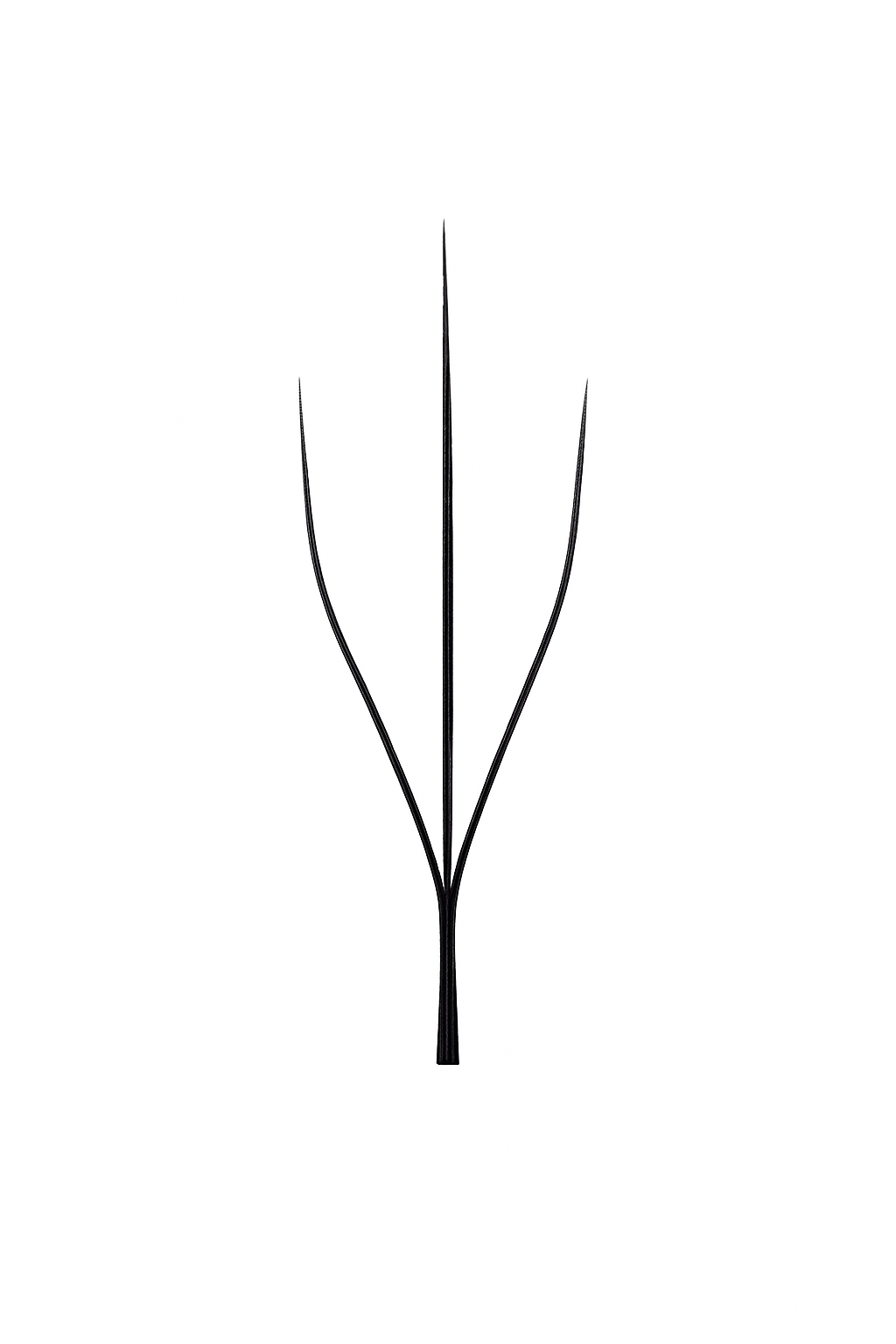 EXTENSIONES DE PESTAÑAS CAMELIA 3D