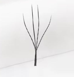 EXTENSIONES DE PESTAÑAS 4D CAMELIA