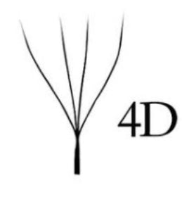 EXTENCIONES DE PESTAÑAS W 4D 11M