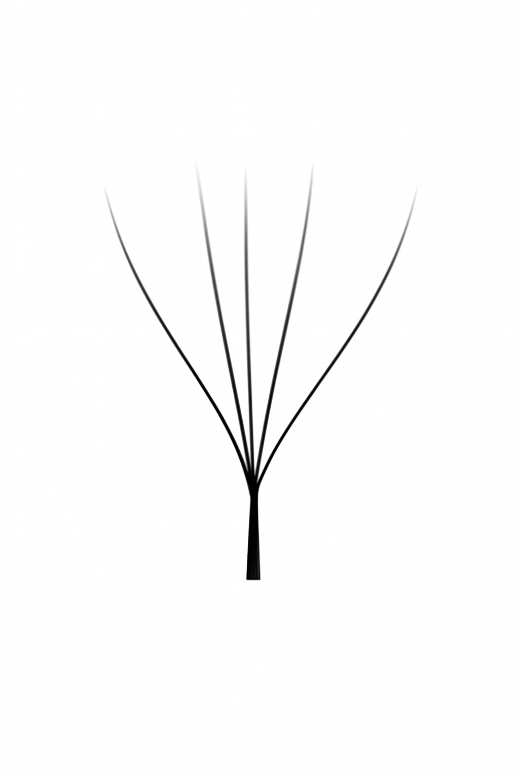 Extensiones de Pestañas W 4D